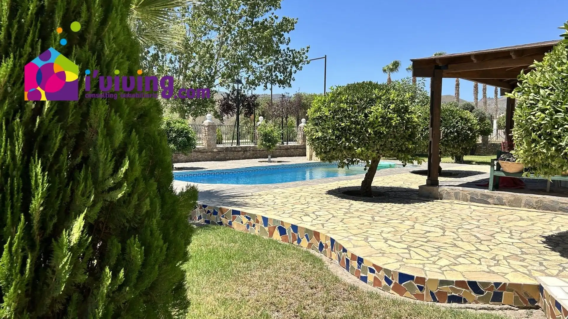 Swimming pool of Houses for rent in Cantoria