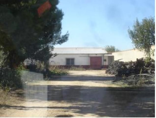 Exterior view of Industrial buildings for sale in Moral de Calatrava