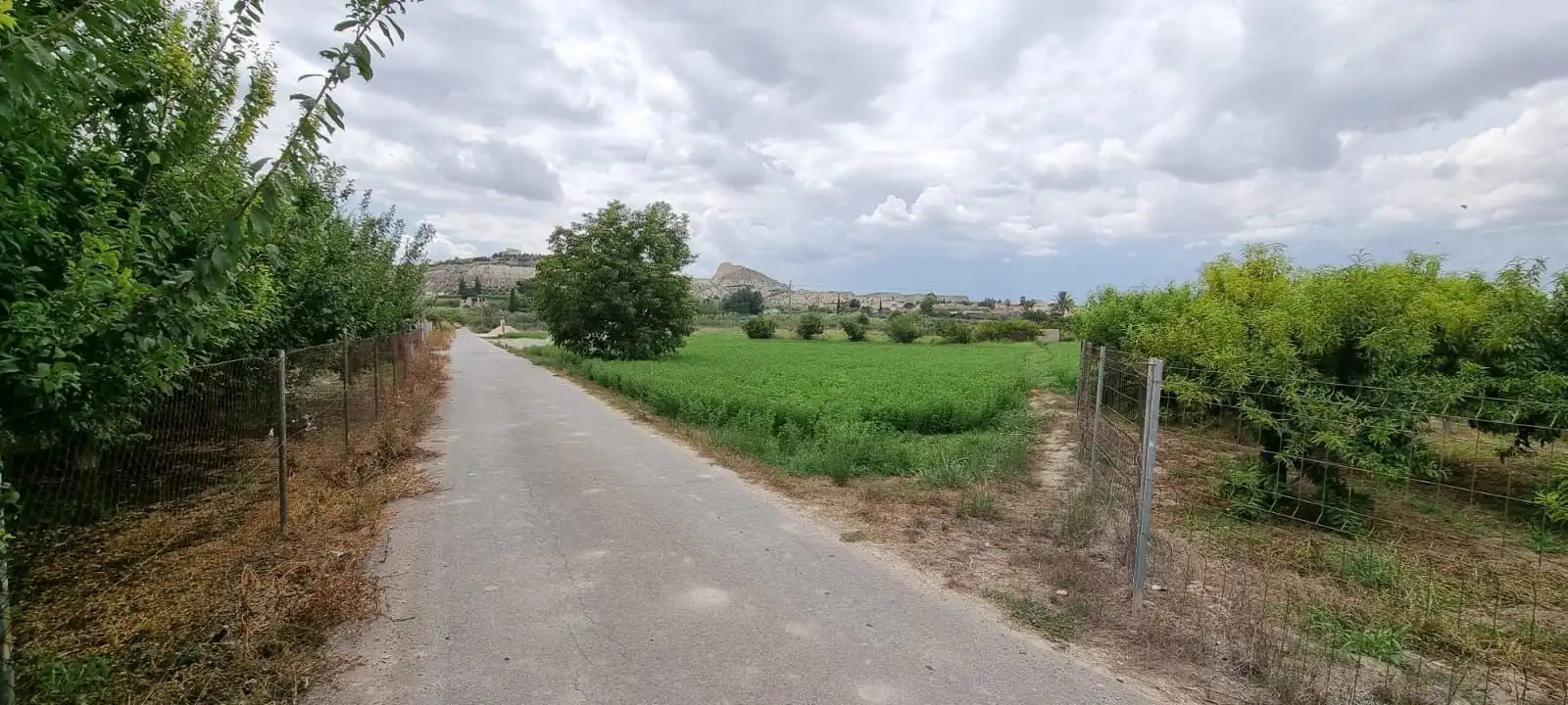 Terreny rústic en venda a Paraje Pullas, las, imagen 3