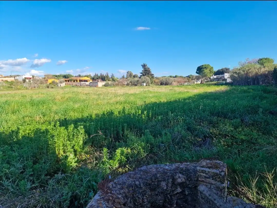 Terreno rústico en venta en Ctra.Portal -Genaro 107, imagen 12