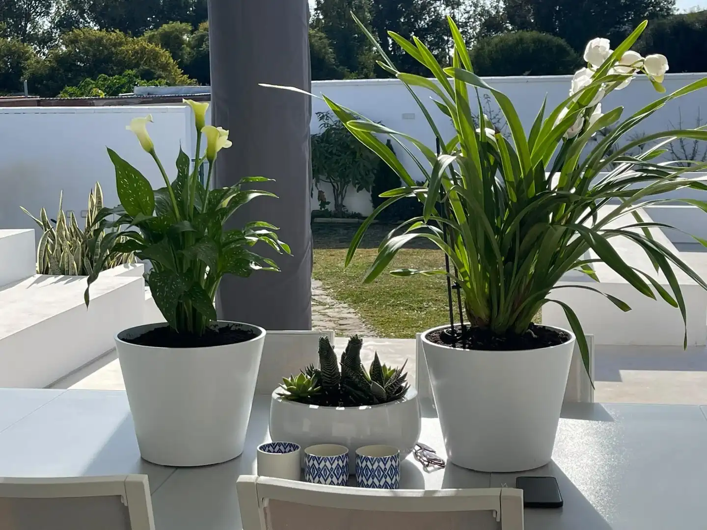 Chalet en venta en El Zabal - Santa Margarita, imagen 4
