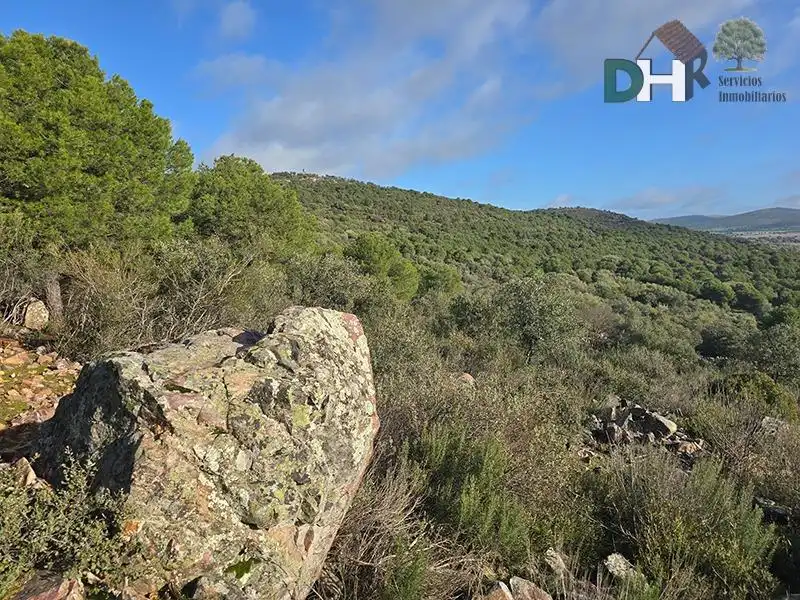 Terrenos y solares en venta en Santa María  - Pío XII, imagen 6