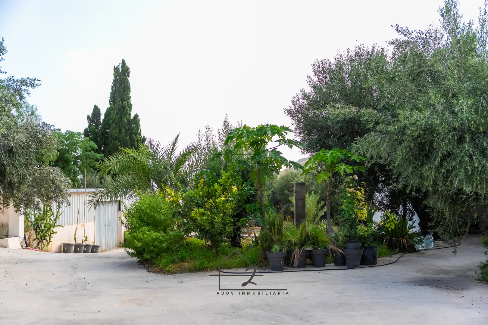 Garden of Land for sale in Vícar