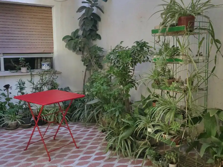 Terraza de Casa o chalet de alquiler en Lorca con Terraza