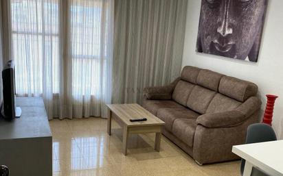 Living room of Flat for sale in Amposta  with Air Conditioner, Terrace and Furnished