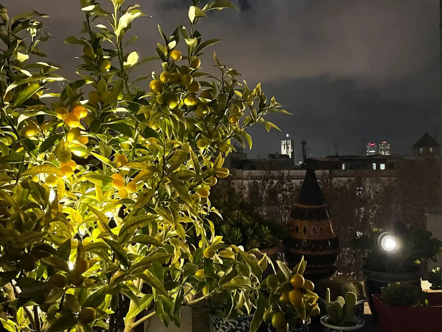 Garten von Dachboden zum Verkauf in Barcelona mit Klimaanlage, Heizung und Parkett