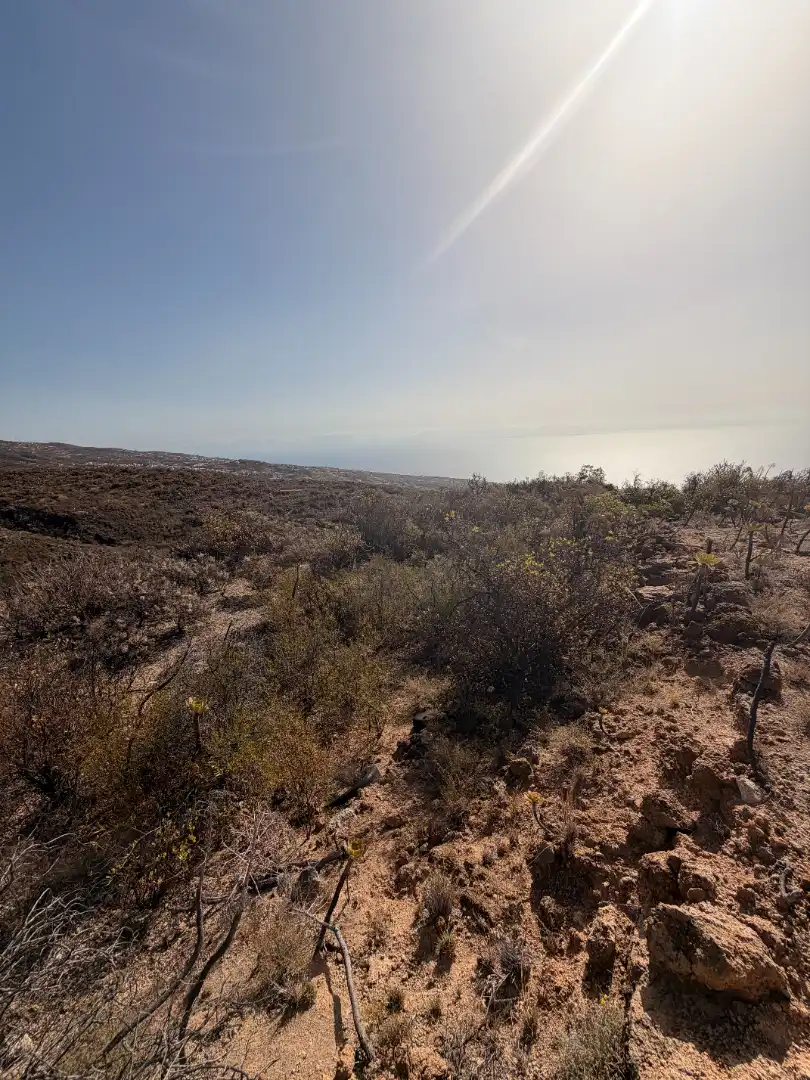 Rural land for sale in N/A, imagen 3
