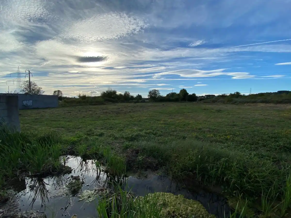 Finca rústica en venta en Ponferrada