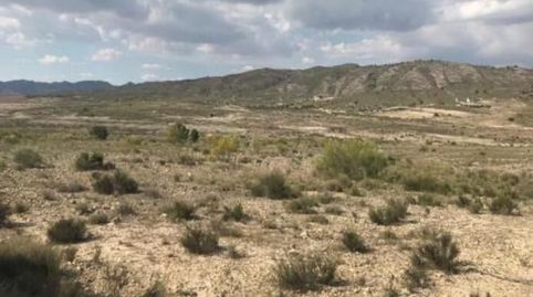 Photo 3 of Land for sale in Paraje de Benis, Parce, Cieza, Murcia