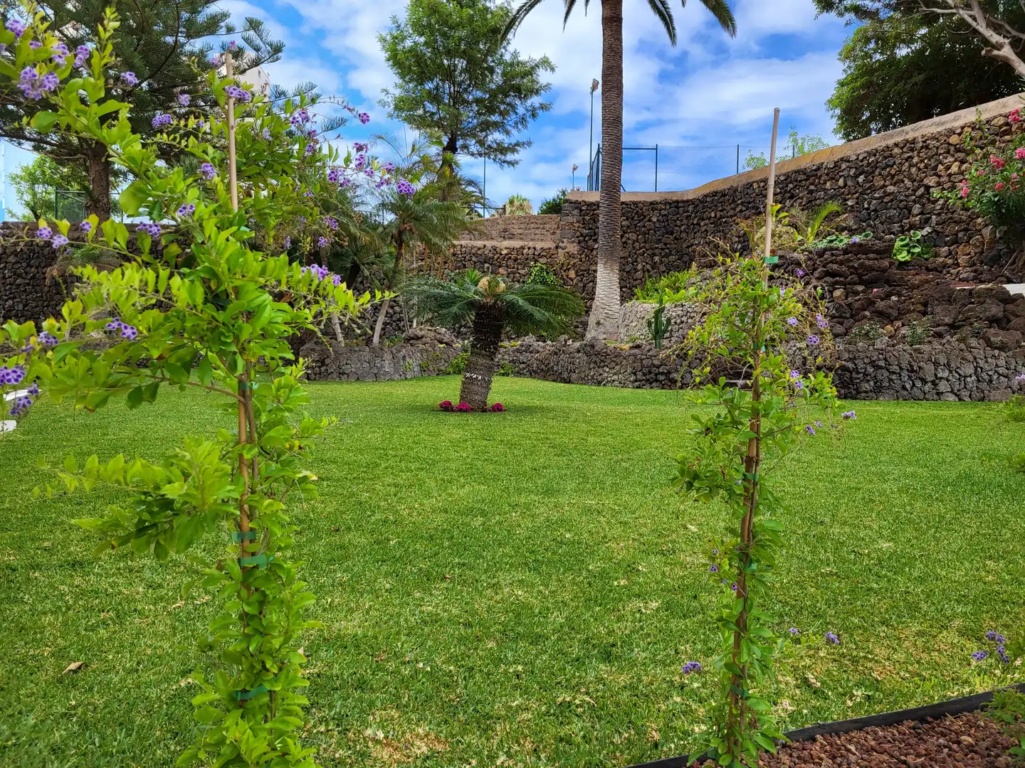 Jardín de Apartamento en venta en Puerto de la Cruz con Piscina, Amueblado y Balcón