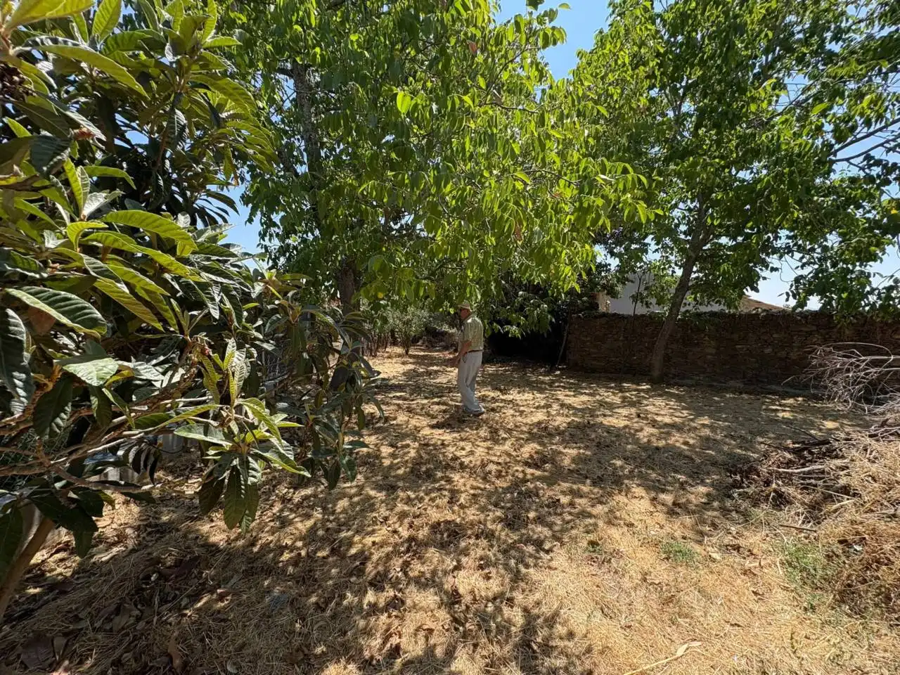 Casa o chalet en venta en Zamarra con Jardín privado
