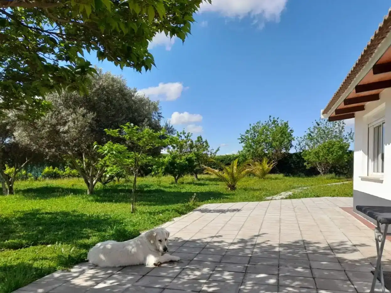 Garten von Country house zum Verkauf in Corella