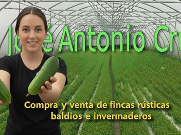 Rural land for sale in AUTOVIA A7 SALIDA 758