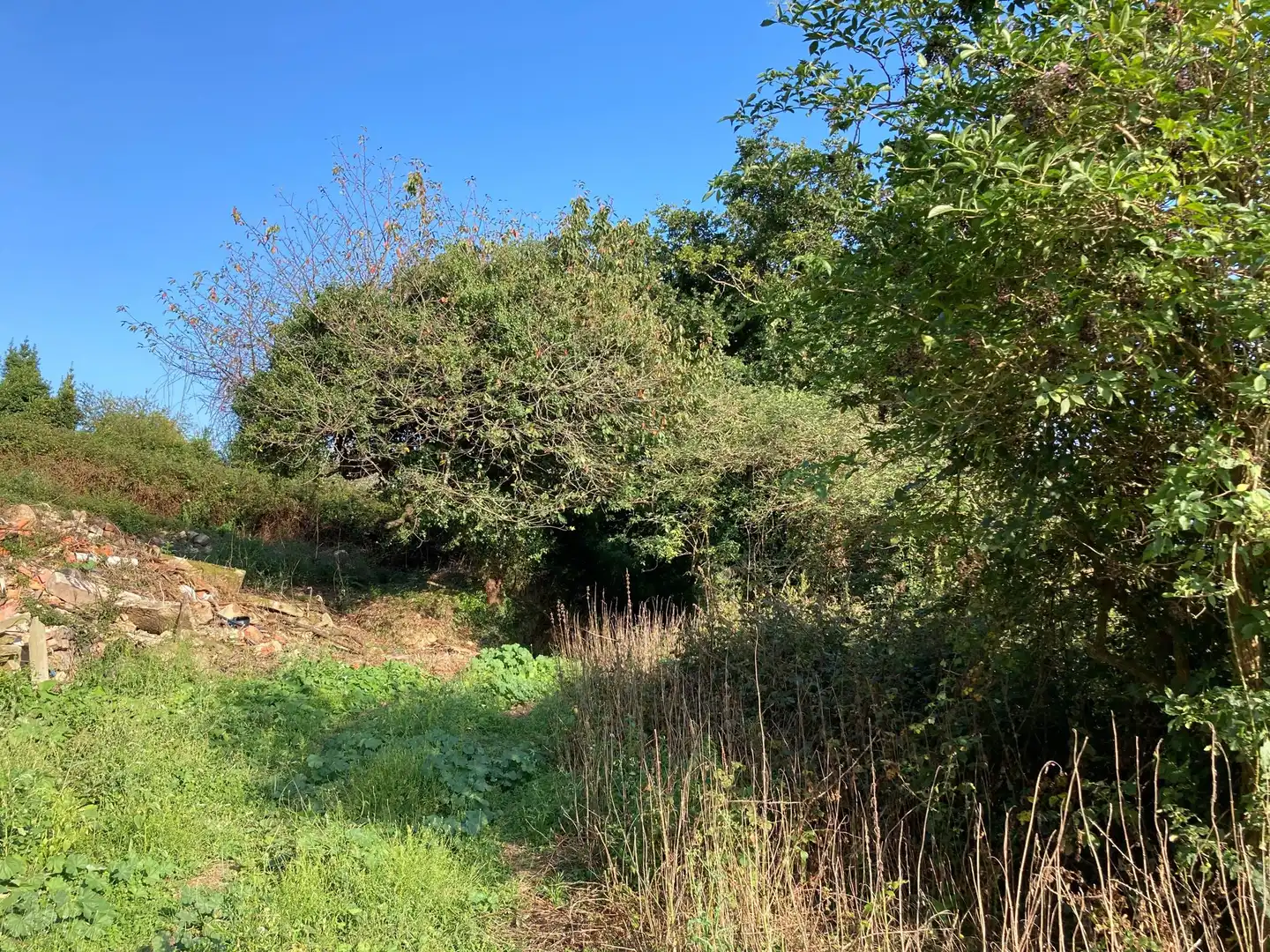 Casa o chalet en venta en Venta del Pobre, Colunga
