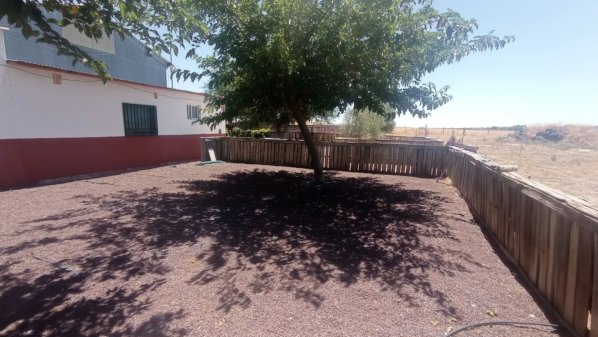 Terreno rústico en venta en Carrión de Calatrava, imagen 19