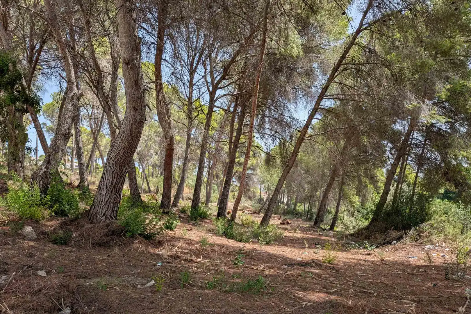 Residential for sale in Moraira