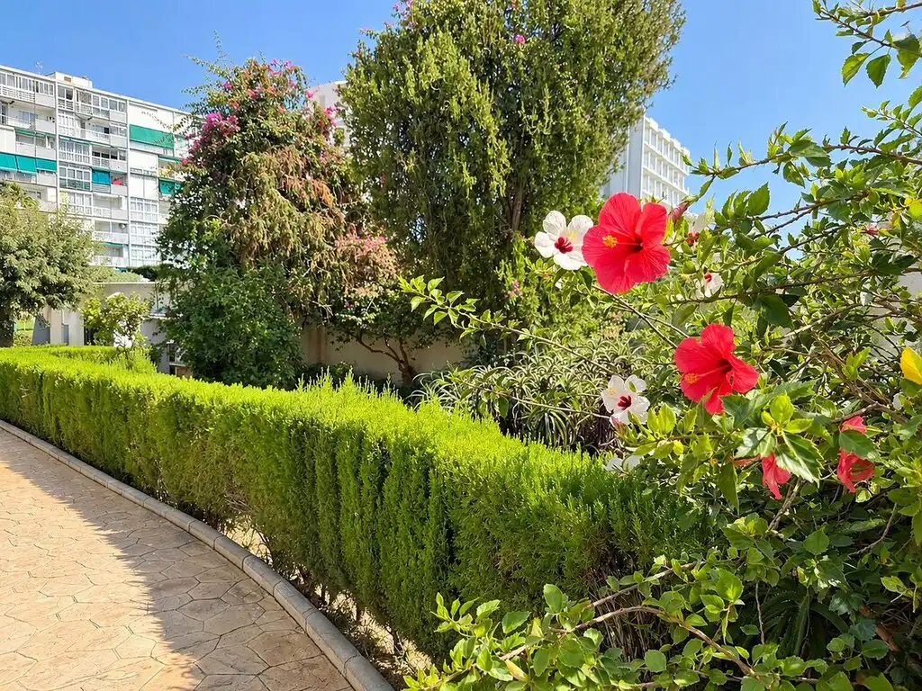 Erdgeschosswohnung mit Pool zum Verkauf in Solymar, imagen 15