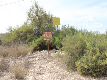 Rural land for sale in Crevillent