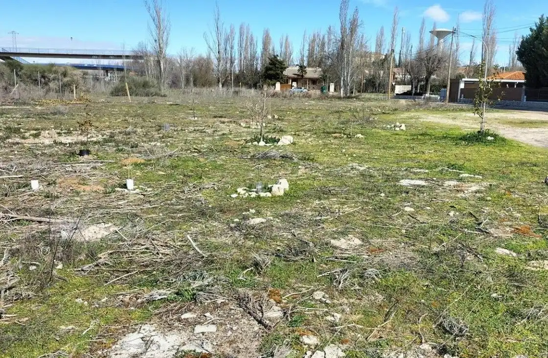 Rural land for sale in Paloma 4, imagen 8