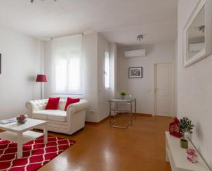 Living room of Apartment to rent in  Madrid Capital  with Air Conditioner, Heating and Furnished