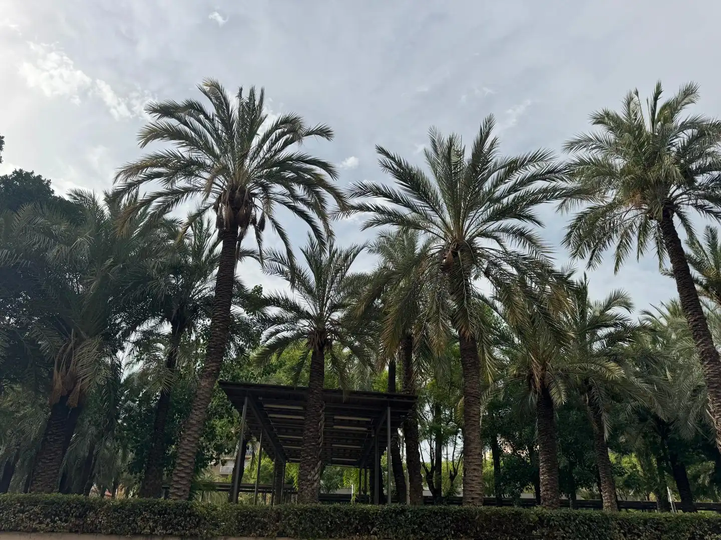 Jardí de Pis en venda en Elche / Elx amb Alarma
