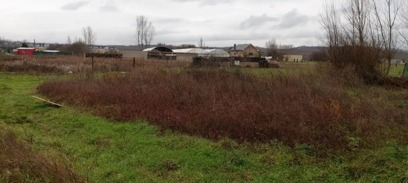 Terreni e lotti in vendita a Camponaraya, imagen 4