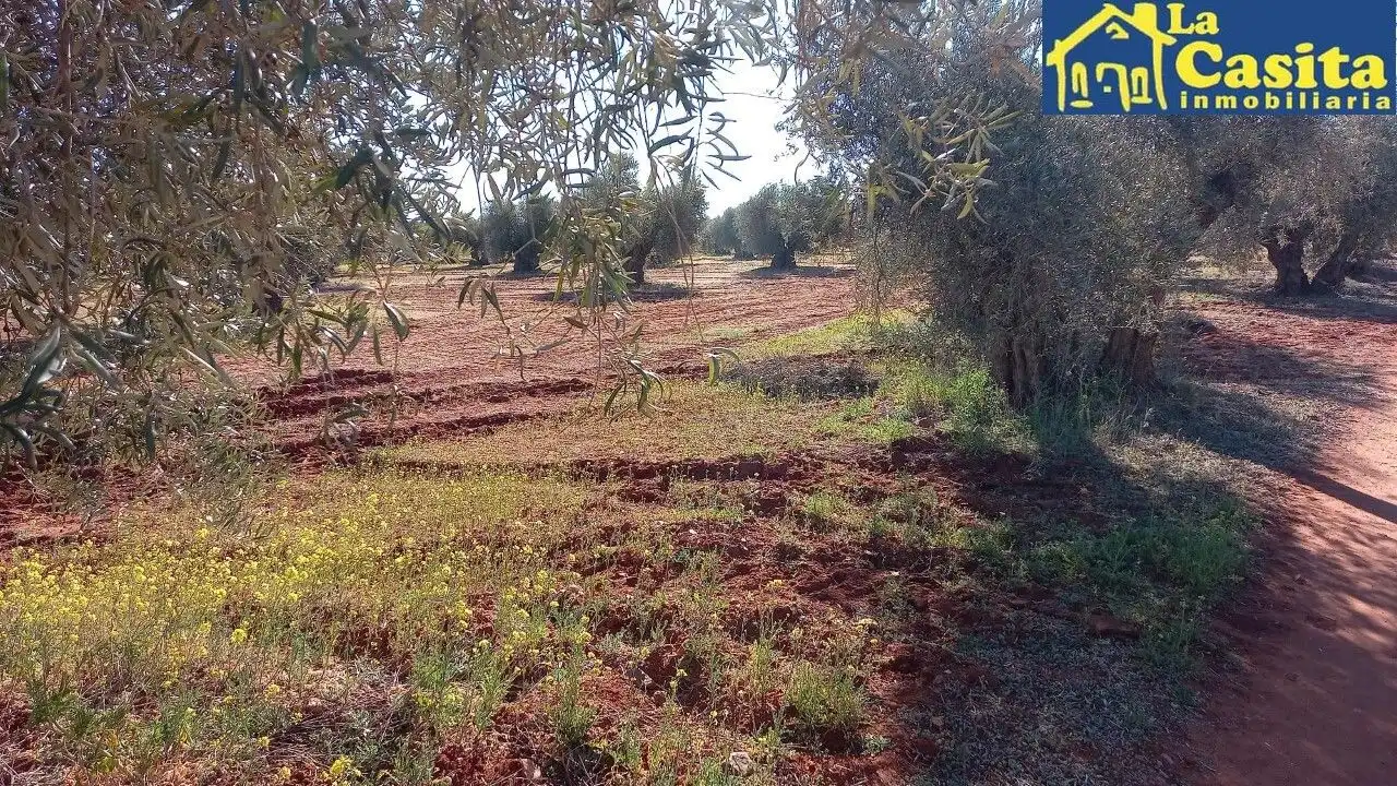 Terrenys i solars en venda a Almagro, imagen 3