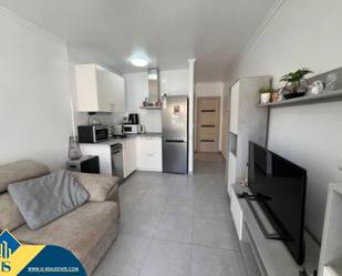 Cuina de Casa o xalet en venda en Torrevieja amb Aire condicionat, Calefacció i Jardí privat
