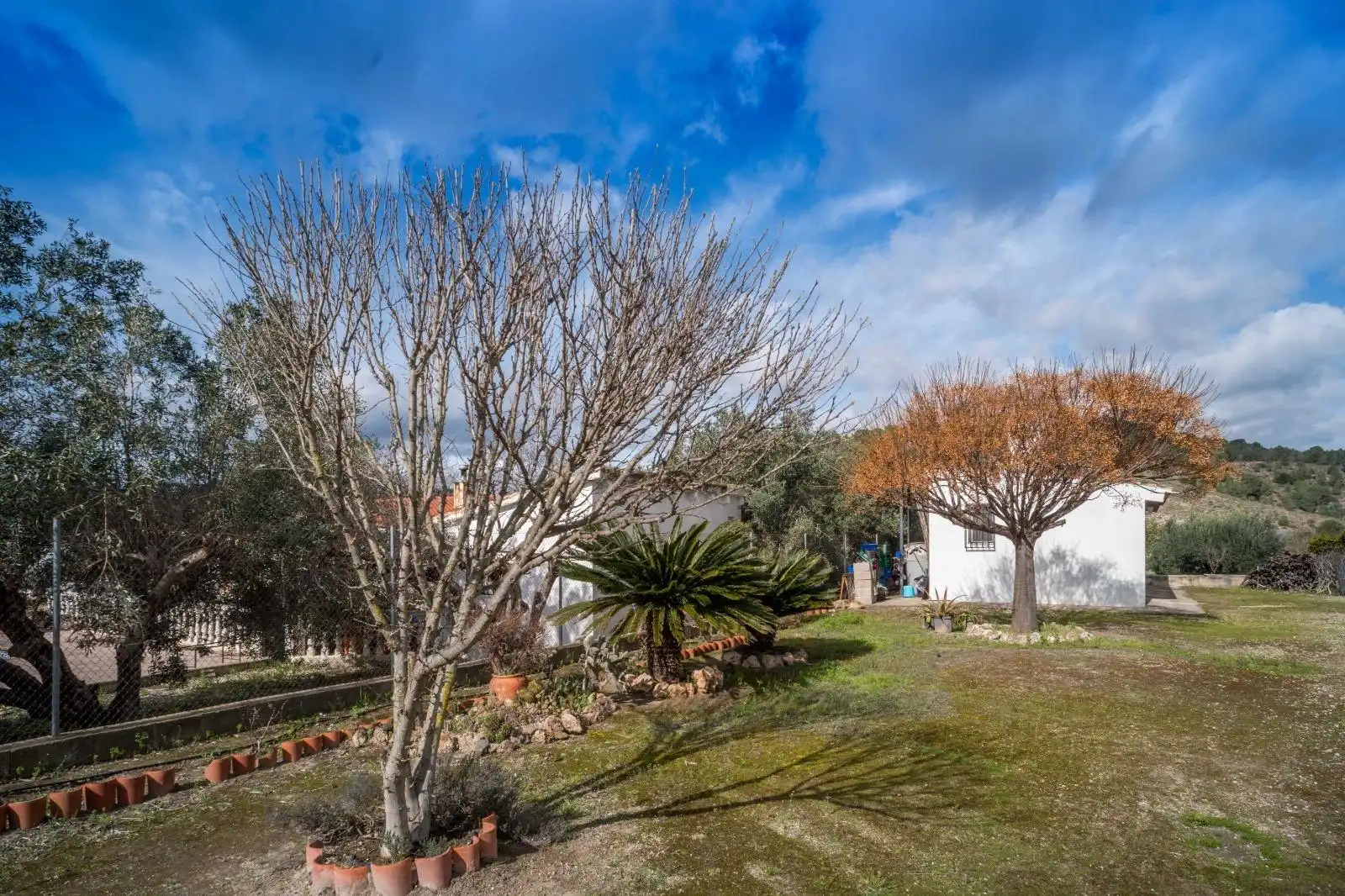 Jardín de Casa o chalet en venta en Xàtiva con Jardín privado, Terraza y Trastero