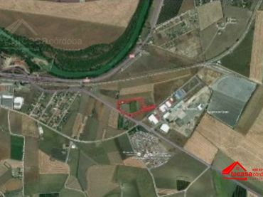 Residential land for sale in El Carpio