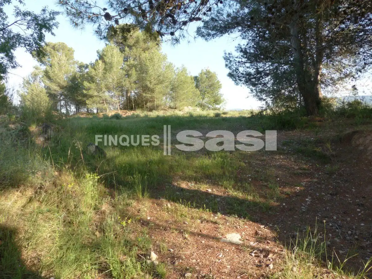 Residential land for sale in Sesoliveres - Pla de la Massa, imagen 8