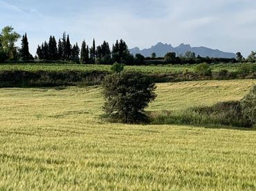Wohnbaugrundstück zum Verkauf in Sant Llorenç d'Hortons