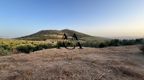 Foto 3 de Finca rústica en venta en Las Vegas - Campoaras, Lucena