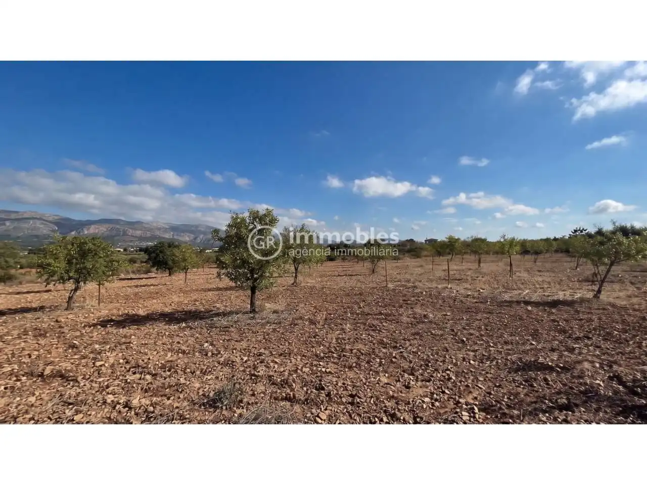 Terreno rustico in vendita a Poligono 14, imagen 2