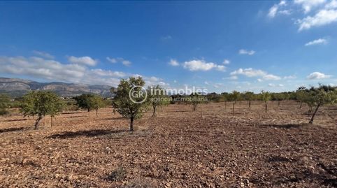 Photo 2 of Land for sale in Poligono 14, Binissalem, Illes Balears