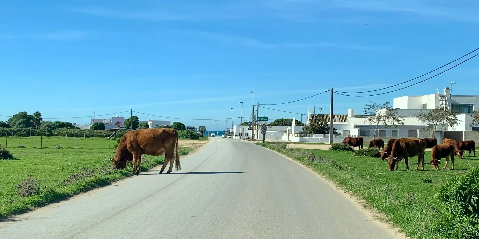 Xalet amb jardí en venda a El Palmar, imagen 39