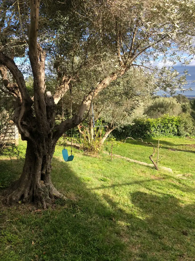 Casa amb jardí en venda a Carrer de Vilajuïga 13, imagen 14