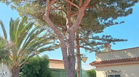 Foto 3 de Casa o xalet de lloguer a Pago Valdeconejos, 32, Chipiona Norte, Chipiona