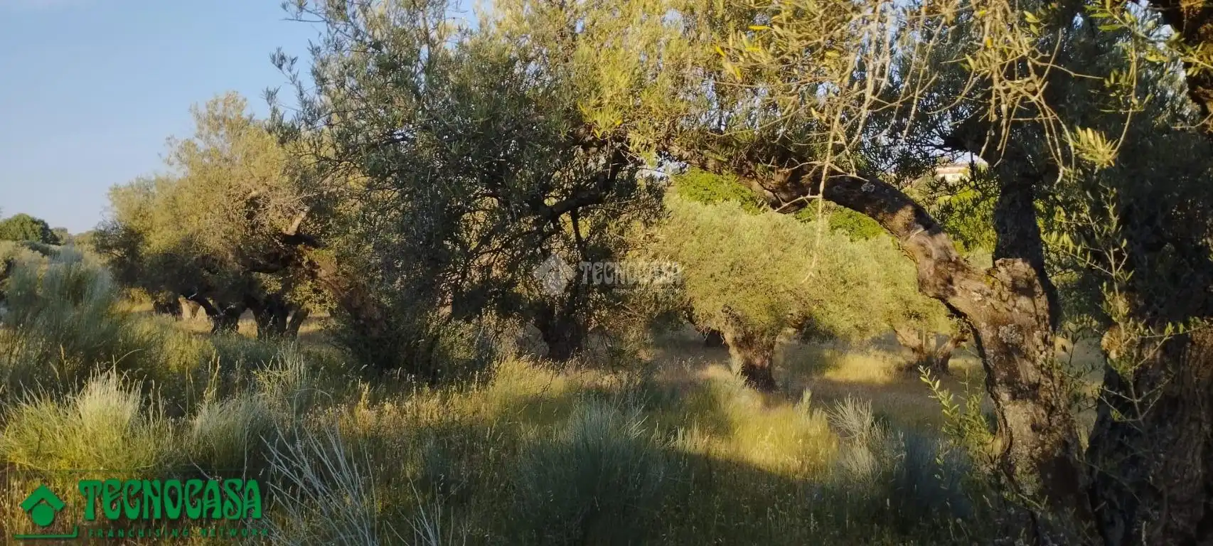 Terreni e lotti in vendita a Méntrida, imagen 24
