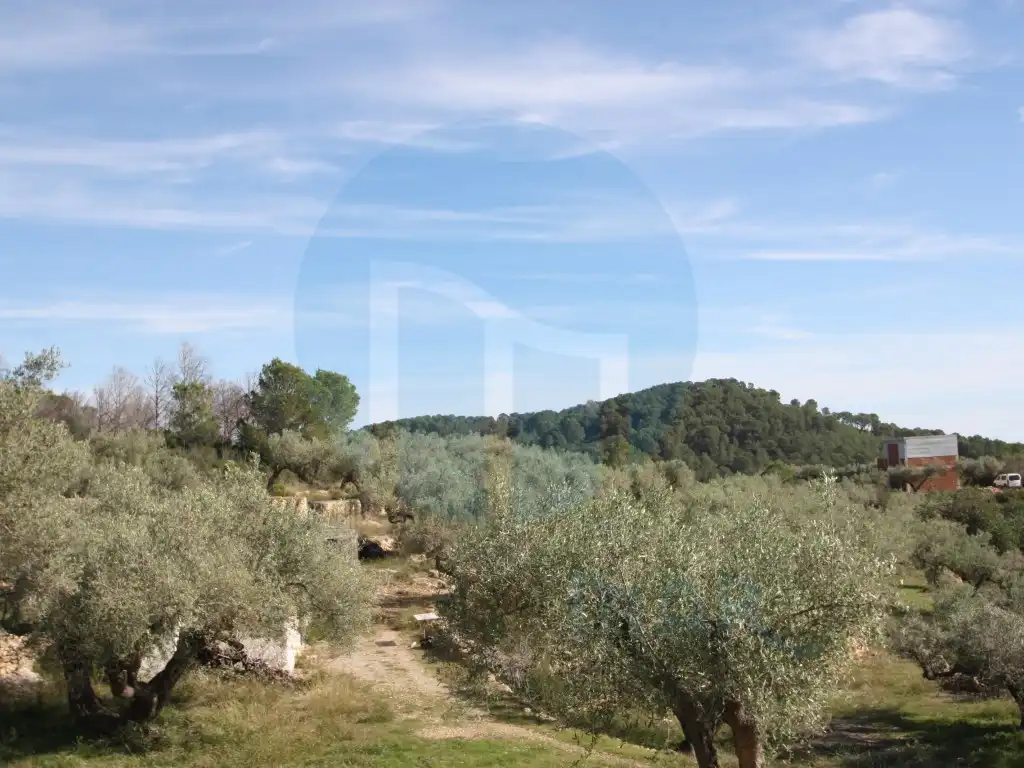 Country homes for sale in El Perelló, Tarragona
