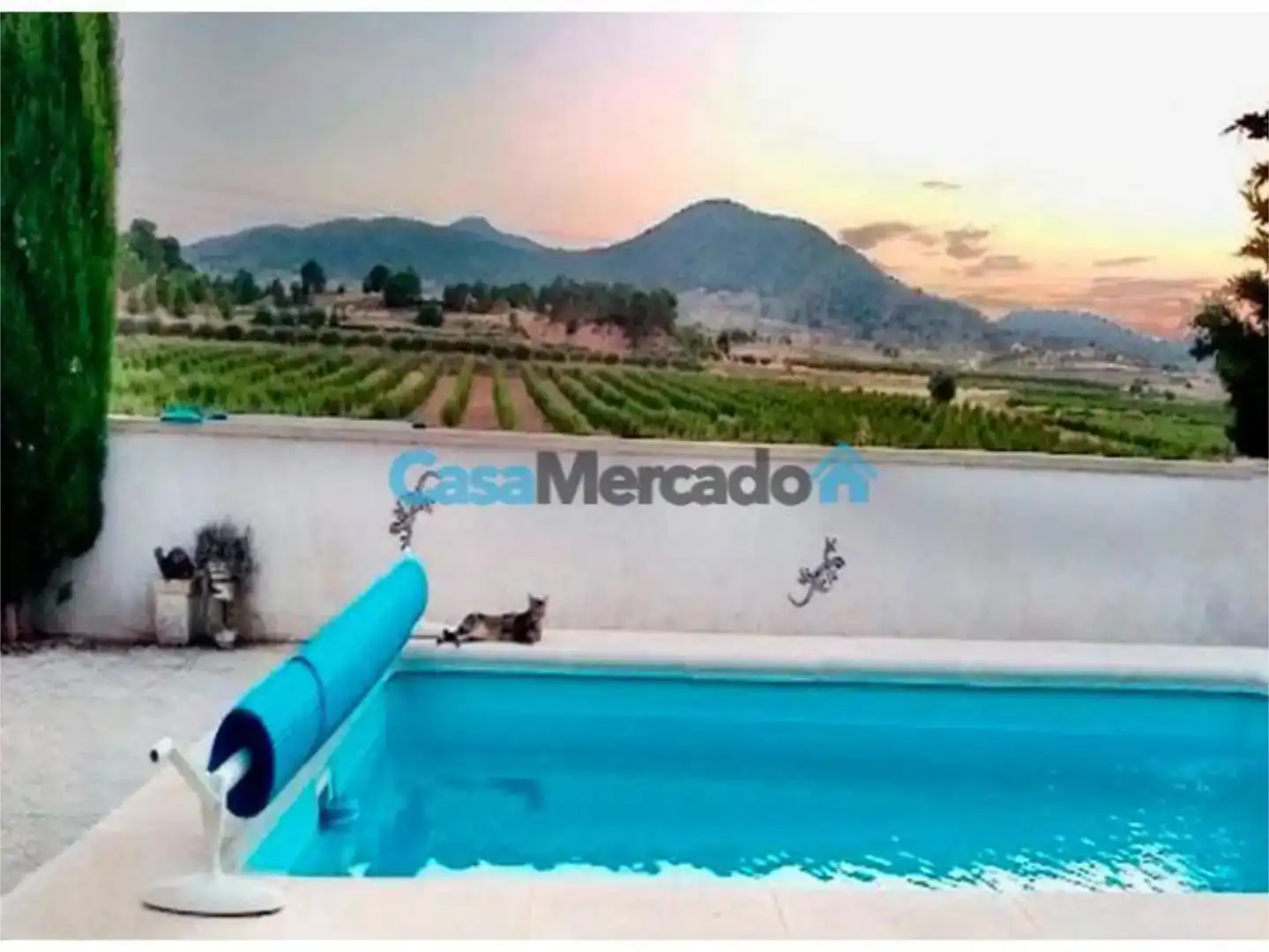 Piscina de Casa adosada en venta en Yecla con Aire acondicionado, Jardín privado y Trastero