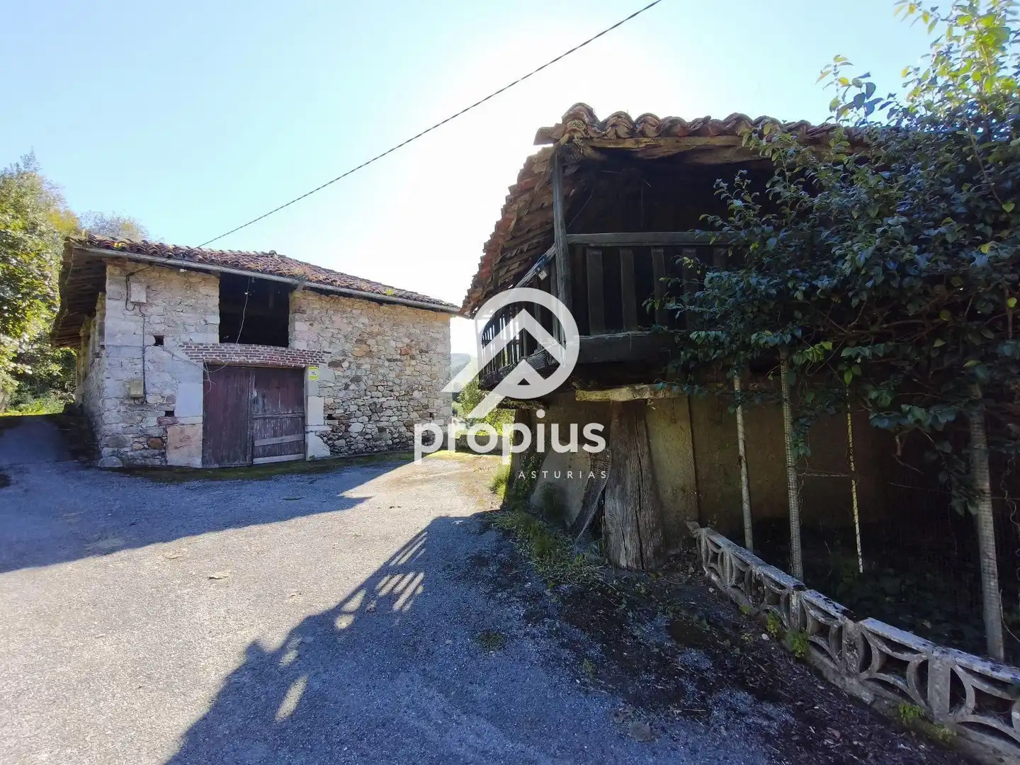 Vista exterior de Casa o chalet en venta en Ribadesella con Jardín privado