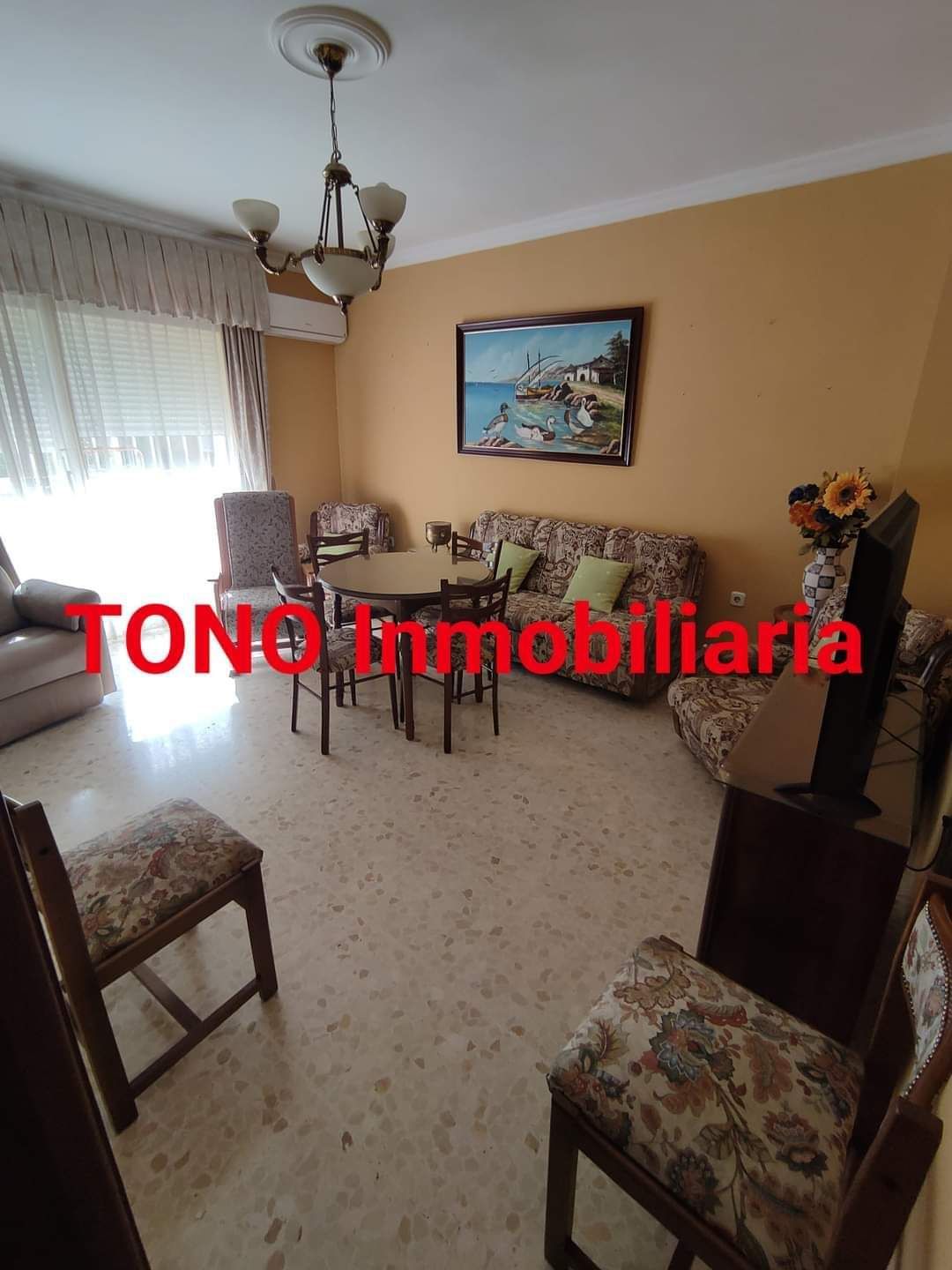 Sala d'estar de Pis en venda en Écija amb Aire condicionat, Jardí privat i Moblat