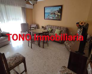 Living room of Flat for sale in Écija  with Air Conditioner, Private garden and Furnished