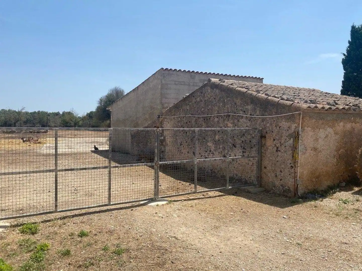 Casa amb terrassa en venda a Lloret de Vistalegre - Carrer del Passeig de Josep Nicolau, imagen 16