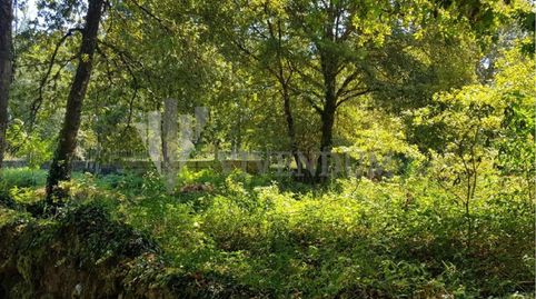 Foto 4 de Residencial en venta en Fornelos de Montes, Pontevedra