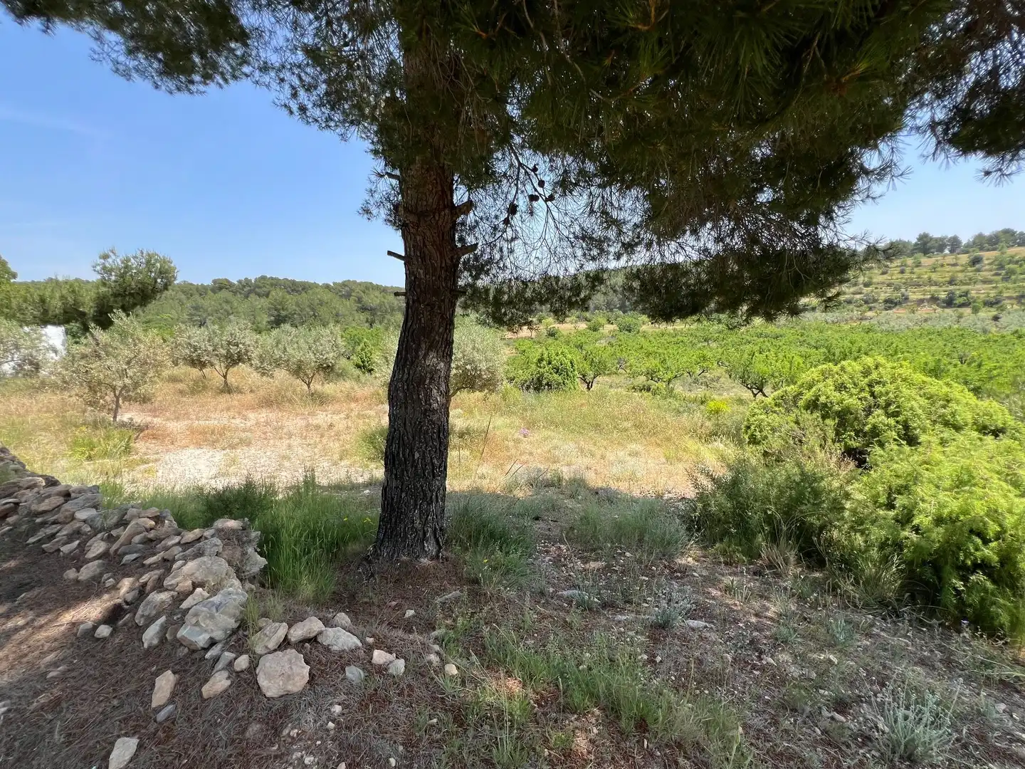 Casa o chalet en venta en Andilla