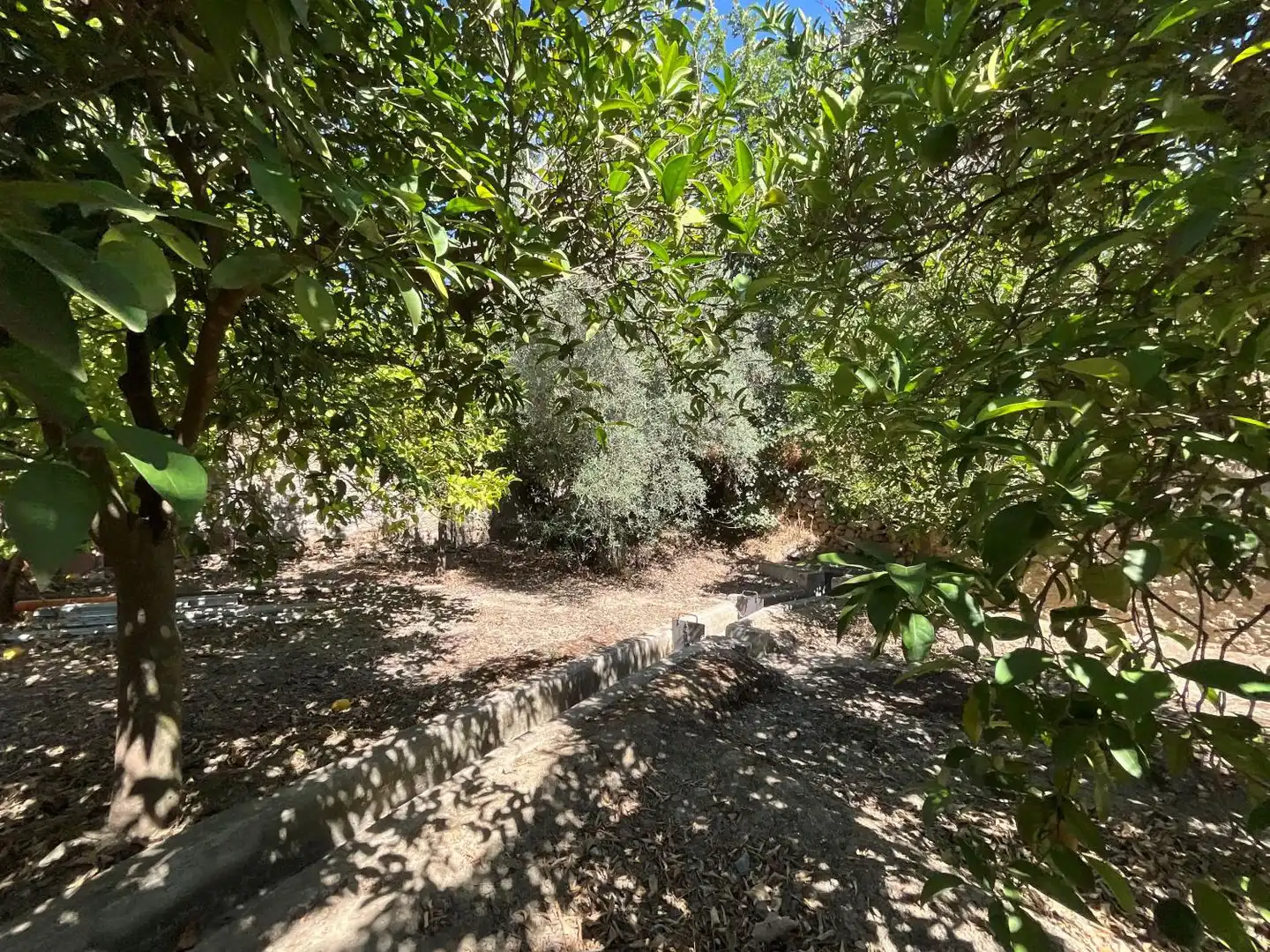 Casa rústica en venta en Lecrín, imagen 14