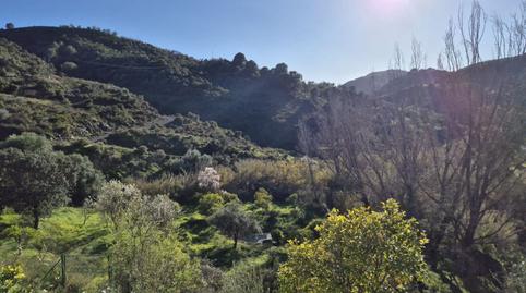 Foto 3 de Finca rústica en venda a Guaro, Málaga