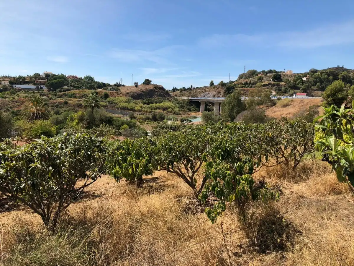Casa rústica con jardín en venta en Punta Plata, imagen 5